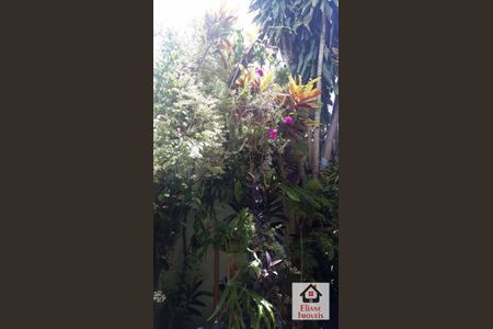 10_photo/94c8b65331.ea44b0009f7abdef-ATLAS-2cf14308-d169-417f-9fa1-57796c53d69b.jpg de casa à venda com 3 quartos, 64m² em Residencial São José, Campinas