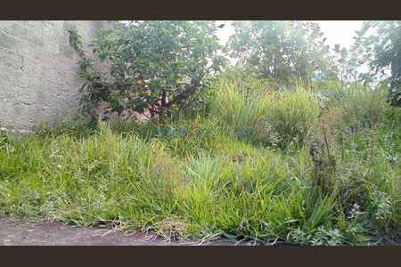 9_photo/94c8b785fb.cb2272fcfeb20142-ATLAS-c6376454-e3c6-40e8-80ed-001b4ea56da7.jpg de casa à venda com 2 quartos, 140m² em Cidade Satélite Íris, Campinas