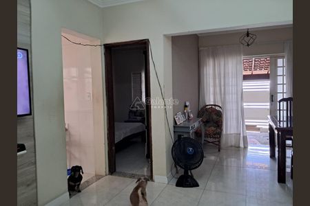 2_photo/94c8b7bc03.cef17660cfa7d457-ATLAS-105b97cf-b63f-471d-9e41-e89d847bf2f6.jpg de casa à venda com 3 quartos, 80m² em Jardim Florence, Campinas