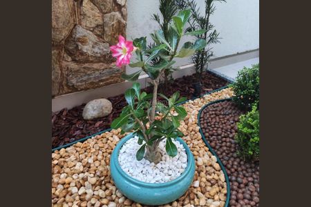 7_photo/94c8b7bc05.9c27ff06134c7db2-ATLAS-e0ba27b0-848a-4ce1-98bd-a52eda33c399.jpg de casa à venda com 3 quartos, 250m² em Jardim Florence, Campinas