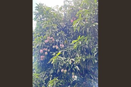 4_photo/94c8b7d887.f742e0a825442cf0-ATLAS-ace03cae-aecc-4254-a8b0-b1ffeb54bcab.jpg de casa à venda com 4 quartos, 150m² em Cidade Satélite Íris, Campinas