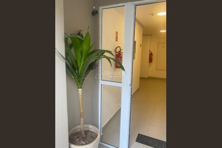 3_photo/94c8b7ddd9.df2406aa61ba3211-ATLAS-0a413334-61df-4b9e-a655-28d7cf196157.jpg de apartamento para alugar com 2 quartos, 46m² em Cidade Satélite Íris, Campinas