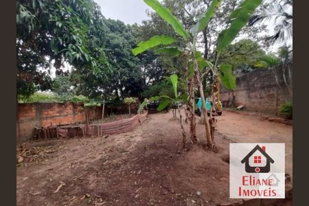 6_photo/94c8b7f1ef.1463d70521bc8e9f-ATLAS-38695700-c4c8-42a9-a35d-aca2d4fe0c66.jpg de casa à venda com 2 quartos, 80m² em Cidade Satélite Íris, Campinas