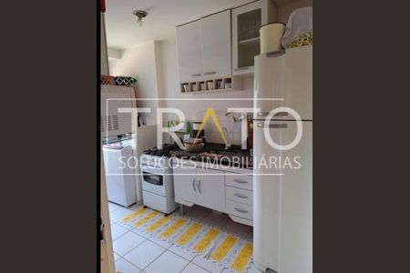 12_photo/94c8b846ef.04a823dc9d4d949a-ATLAS-79bdb0f1-9a09-4bb7-9405-75acae0d4bb5.jpg de apartamento para alugar com 2 quartos, 44m² em Jardim Monte Alto, Campinas