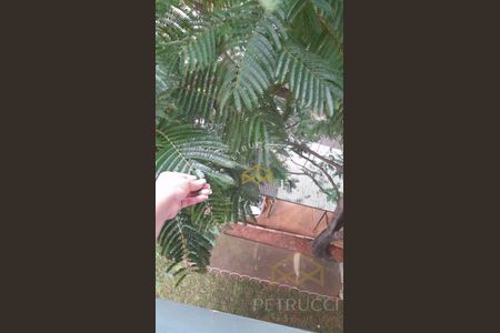 9_photo/94c8b85b7d.23b6830e51176d3d-ATLAS-44070fab-06f8-4190-a62f-bd2cc0b0ac0f.jpg de apartamento à venda com 2 quartos, 48m² em Parque São Jorge, Campinas