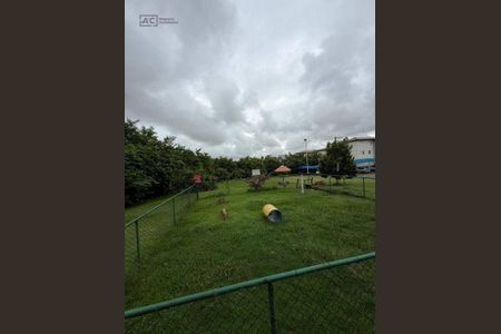 39_photo/94c8b9b239.48e0628bce9b96fd-ATLAS-508758b5-7259-4b5f-acb6-a43853d05e77.jpg de apartamento para alugar com 3 quartos, 74m² em Jardim Rosolem, Hortolândia