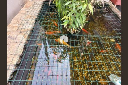 3_photo/94c8bfdef1.621ee2e78907adfc-ATLAS-df58ef3d-0b65-48ad-8ee9-d43727e4e995.jpg de casa à venda com 3 quartos, 171m² em Vila Bressani, Paulínia