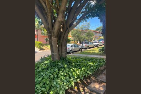 10_photo/94c8c10e3d.f8b486b22c4bf0bd-ATLAS-c2f08c4d-85ee-49c7-b765-3139dee96ecd.jpg de apartamento à venda com 3 quartos, 84m² em Jardim do Sol, Campinas