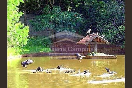 11_photo/94c8c11317.6070ed2a71bacac3-ATLAS-6c4cbcc2-b101-4165-bdc3-042f4f53ed5a.jpg de casa de condomínio à venda com 4 quartos, 576m² em Cidade Universitária, Campinas