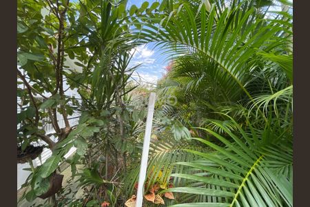 4_photo/94c8c13555.ae3d86bef28e162d-ATLAS-1a050f9a-5d2c-439f-b838-25a3e3f599d0.jpg de casa à venda com 3 quartos, 204m² em Cidade Universitária, Campinas