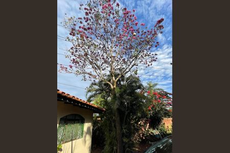 8_photo/94c8c16b8d.732b7fd8aaa5f07d-ATLAS-6f6b32c9-86ea-406a-8004-251da1753d99.jpg de casa à venda com 3 quartos, 150m² em Chácara Belvedere, Campinas