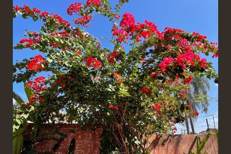 10_photo/94c8c16b8d.732b7fd8aaa5f07d-ATLAS-a1ff82da-0e56-4354-87a0-8b5bbbba5a6e.jpg de casa à venda com 3 quartos, 150m² em Chácara Belvedere, Campinas