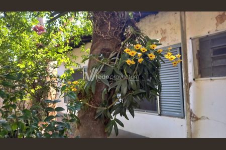 2_photo/94c8c16f6b.2121f4c72a2ba616-ATLAS-0f608d31-42d7-4978-ba15-ff42bfa3a211.jpg de casa à venda com 3 quartos, 195m² em Cidade Universitária, Campinas