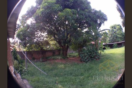 11_photo/94c8c1f5fb.d0f09a6c6a8228aa-ATLAS-f0cf5a1b-10d2-430e-a384-7ba67c3e682b.jpg de casa para alugar com 5 quartos, 256m² em Cidade Universitária, Campinas