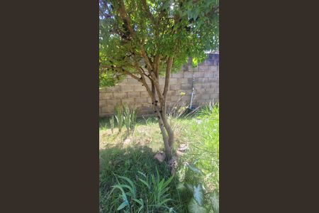 9_photo/94c8c219bd.d4b653a035097e83-ATLAS-4ca467f2-7d3a-4699-8a6b-25084557baff.jpg de casa à venda com 4 quartos, 172m² em Village Campinas, Campinas