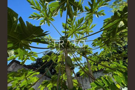 9_photo/94c8c21f61.38153d79977beed0-ATLAS-e32338be-bcf9-43e0-9339-305cc5d4277d.jpg de casa para alugar com 3 quartos, 110m² em Cidade Universitária, Campinas