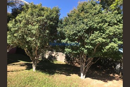 28_photo/94c8c47fc9.6d966f5fb5582f4e-ATLAS-fa163c27-5365-4c45-ba4c-a74917ba3139.jpg de casa à venda com 4 quartos, 410m² em Loteamento Alphaville Campinas, Campinas