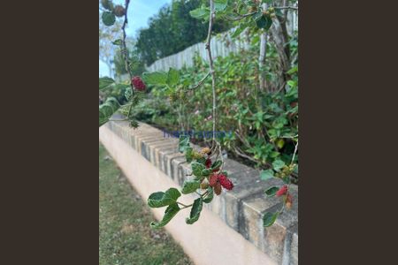 4_photo/94c8c48de5.732b7fd8aaa5f07d-ATLAS-15158733-2b33-4fc5-9f60-a9aa43965090.jpg de casa à venda com 4 quartos, 370m² em Residencial Parque dos Alecrins, Campinas