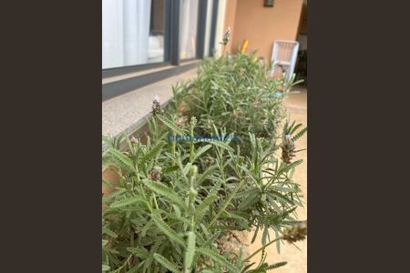 11_photo/94c8c48de5.732b7fd8aaa5f07d-ATLAS-99be4370-7c0b-4e32-aa9a-84da5393ca61.jpg de casa à venda com 4 quartos, 370m² em Residencial Parque dos Alecrins, Campinas