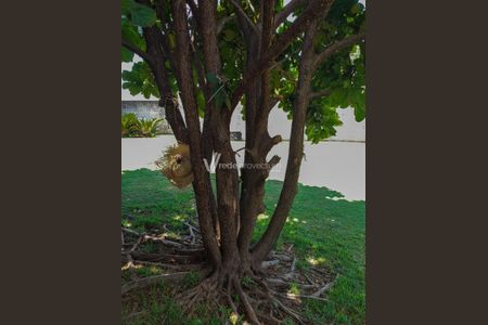 37_photo/94c8c4ed6f.007d8801227075bf-ATLAS-8f817fba-78e7-4c1f-9de7-efa4b89f5ff8.jpg de casa à venda com 2 quartos, 97m² em Parque dos Pomares, Campinas