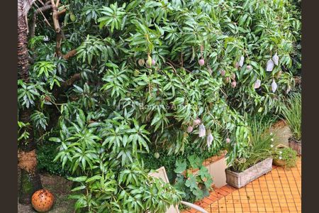 15_photo/94c8c4f32d.93b8fa184532727f-ATLAS-b1d71fc2-113f-49e6-9bdd-69b6b4de4dd6.jpg de casa à venda com 4 quartos, 360m² em Parque dos Pomares, Campinas
