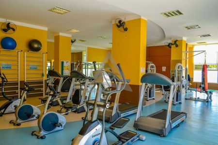 55_photo/94c8c4f6f3.ceff8192393c33de-ATLAS-b8e64d5c-6490-4cc1-bad3-b897c7103b33.jpg de apartamento para alugar com 4 quartos, 137m² em Loteamento Alphaville Campinas, Campinas