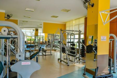 57_photo/94c8c4f6f3.ceff8192393c33de-ATLAS-ca3fa9e9-a01b-4882-9dba-8077a752b25c.jpg de apartamento para alugar com 4 quartos, 137m² em Loteamento Alphaville Campinas, Campinas