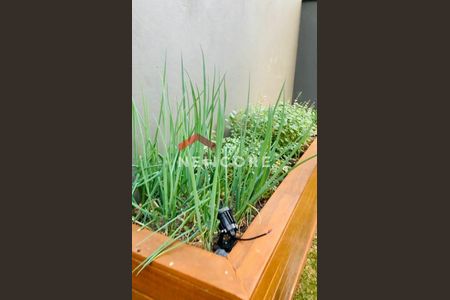 3_photo/94c8c508c9.e182d30f96765f76-ATLAS-d1066f9a-366d-4266-b4dd-c716b0a35aee.jpg de casa à venda com 4 quartos, 357m² em Campinas, Campinas