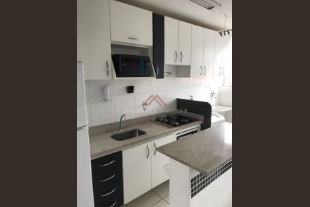 9_photo/94c8c580d7.f43b1a6e9ce2f1b1-ATLAS-baabbc8e-2483-4122-a057-a14193cbdb43.jpg de apartamento para alugar com 2 quartos, 47m² em Vila 31 de Março, Campinas