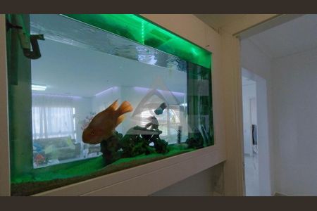 10_photo/94c8c59bed.d41ccc6539b5b4b0-ATLAS-9cd8167b-c604-4632-a0ae-5baae9b46f6d.jpg de apartamento para alugar com 3 quartos, 231m² em Jardim Madalena, Campinas