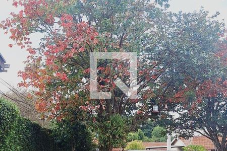 32_photo/94c8c5bda5.2b57347f83d48e3d-ATLAS-c3199f23-1f90-4159-a07c-bdfad80755de.jpg de casa à venda com 3 quartos, 70m² em Parque São Quirino, Campinas