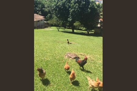 6_photo/94c8c5cd69.56f87905458f71eb-ATLAS-7214f8c6-cc43-4b8e-9617-a10eee3ecd97.jpg de casa à venda com 4 quartos, 336m² em Mansões Santo Antônio, Campinas