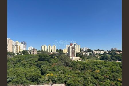 3_photo/94c8c5cdd7.7a69ff73eb43ff8d-ATLAS-0086e4df-28e1-4871-a0c3-4a7b75e8304e.jpg de apartamento para alugar com 2 quartos, 130m² em Mansões Santo Antônio, Campinas