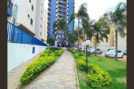 11_photo/94c8c5cef5.a5b61410c387fb0a-ATLAS-1f0cea90-035d-4e4f-bf86-985b054b3290.jpg de apartamento para alugar com 3 quartos, 75m² em Mansões Santo Antônio, Campinas