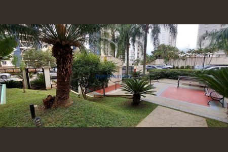 8_photo/94c8c5cf1b.93b8fa184532727f-ATLAS-1baa928f-1f3c-4a14-bfdc-379eaee3f4aa.jpg de apartamento para alugar com 2 quartos, 52m² em Mansões Santo Antônio, Campinas