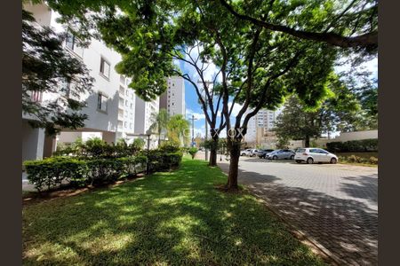 8_photo/94c8c5cf21.fe96b63aec789ef1-ATLAS-662986b4-7fb5-4872-afd4-be7564157d1f.jpg de apartamento para alugar com 3 quartos, 75m² em Mansões Santo Antônio, Campinas