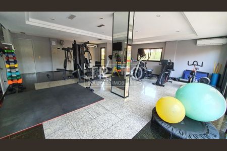 23_photo/94c8c5cf6f.dda3a78fb47de289-ATLAS-5356b4b0-c4cf-48e2-9877-817bcc56f5f1.jpg de apartamento para alugar com 3 quartos, 82m² em Mansões Santo Antônio, Campinas