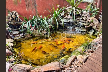 8_photo/94c8c5cffd.36817066de3aa5de-ATLAS-8dd4c0e2-8b17-4d12-b82b-bcf4f0938bea.jpg de casa à venda com 6 quartos, 450m² em Chácara Primavera, Campinas