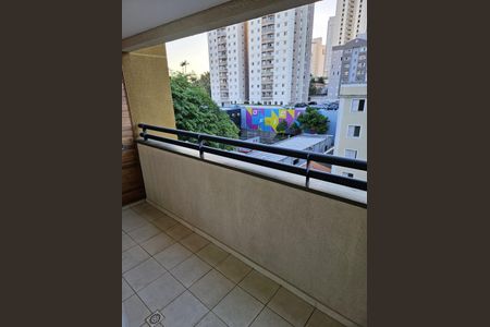 5_photo/94c8c5d231.d79c8b1d42e67723-ATLAS-706b08a6-edb7-482f-aa39-fd8eb4a46bc6.jpg de apartamento para alugar com 2 quartos, 70m² em Mansões Santo Antônio, Campinas