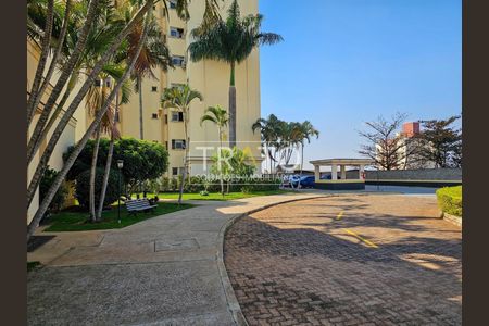 63_photo/94c8c5d3b7.21e3eef490867e9b-ATLAS-13faf40e-2058-4789-99b1-ae11cfae8dcf.jpg de apartamento para alugar com 3 quartos, 73m² em Mansões Santo Antônio, Campinas