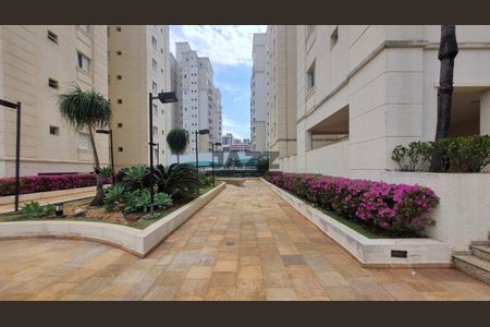 3_photo/94c8c5d485.609b7a390ec3d2b3-ATLAS-0bda1175-697b-4f0e-9235-c1d77cc72b31.jpg de apartamento à venda com 3 quartos, 210m² em Mansões Santo Antônio, Campinas