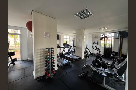 6_photo/94c8c5d4ab.adbb37f92a381176-ATLAS-02e5c6c9-b5da-484d-b207-6257ea41deb0.jpg de apartamento para alugar com 3 quartos, 66m² em Mansões Santo Antônio, Campinas