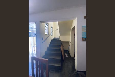 9_photo/94c8c5f0d7.8c14be5707b129f9-ATLAS-8689a25d-e08a-4fa1-8dfa-58f920b4d3a4.jpg de casa para alugar com 4 quartos, 480m² em Vila Iza, Campinas