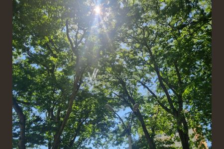 20_photo/94c8c5f47b.c91f7d8f7dbdba1b-ATLAS-c05091da-9c89-4af8-8432-0dcfea9d86a5.jpg de casa à venda com 3 quartos, 118m² em Jardim Margarida, Campinas