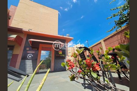 43_photo/94c8c5f4e1.e5c1dbf3952ec410-ATLAS-6f2b4749-5b40-4e0c-8aac-251908e46754.jpg de apartamento para alugar com 2 quartos, 48m² em Taquaral, Campinas