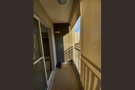 11_photo/94c8c5f9ed.7d44486df2fbe63f-ATLAS-51c715f7-3e54-4d1f-bcb0-6b40f8eb74d0.jpg de apartamento para alugar com 2 quartos, 68m² em Jardim Belo Horizonte, Campinas