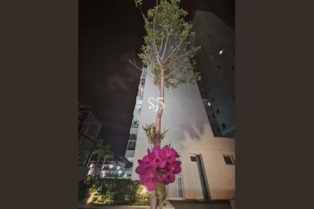 9_photo/94c8c60393.a6575e2a8f26499a-ATLAS-8a29ab7d-bdd4-4116-a781-1b86ca7dc02f.jpg de apartamento para alugar com 3 quartos, 95m² em Jardim Brasil, Campinas