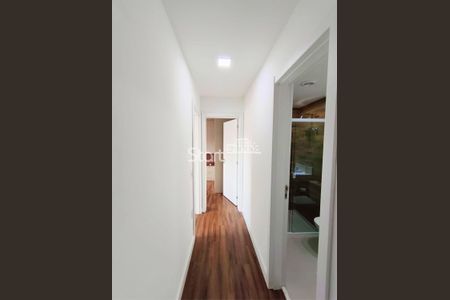 9_photo/94c8c603cf.77f0cc38414a02a5-ATLAS-b4dea067-e5c8-44a2-b7c0-aa167779fbd7.jpg de apartamento para alugar com 2 quartos, 67m² em Jardim Brasil, Campinas