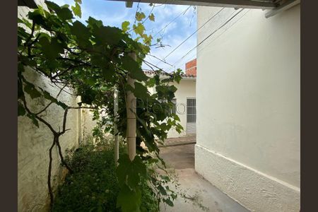 12_photo/94c8c6059d.cda01c5f2bf1a0d1-ATLAS-489d7df6-3f39-4197-a8b9-a19d6e46350d.jpg de casa à venda com 3 quartos, 116m² em Vila Nova, Campinas