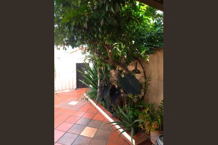 10_photo/94c8c60f1f.0dba02f6e03a3679-ATLAS-4acd6b6e-e134-45bf-9d8e-15c9b13655a5.jpg de casa para alugar com 3 quartos, 128m² em Jardim Nossa Senhora Auxiliadora, Campinas